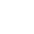 Lion Forklift Antalya