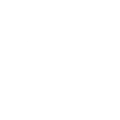 Shantiu Forklift Antalya